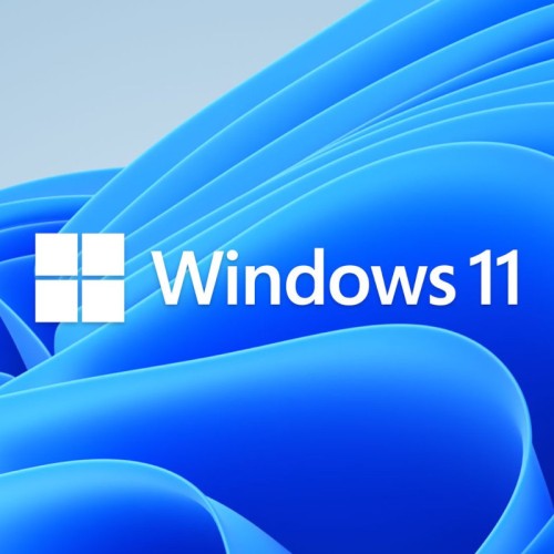 Licenta Microsoft Windows 11 Home, DSP OEI, 64-bit, Engleza, DVD