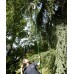 Fierastrau crengi cu lama otel carbon, maner telescopic, Spear  Jackson Kew Garden